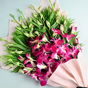 Orchids